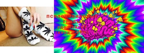 стафф Алексин