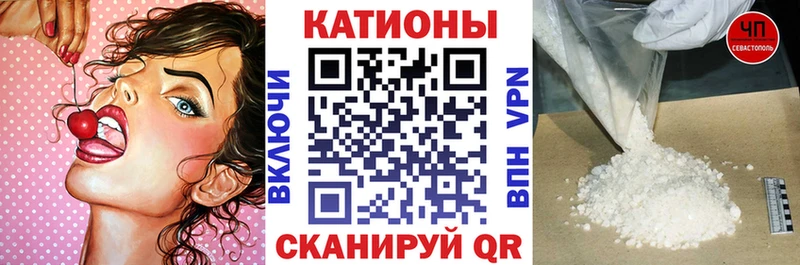 закладки  Аркадак  МЯУ-МЯУ мяу мяу 