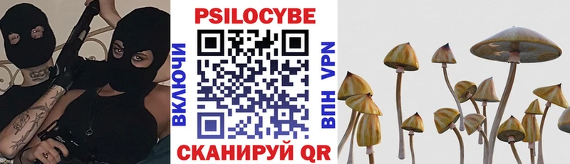 магазин продажи наркотиков  Аркадак  Псилоцибиновые грибы Cubensis 
